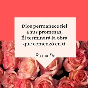 Meet your Posher, Rosario